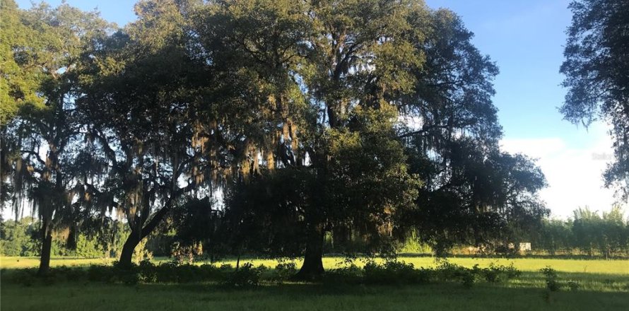 Terrain à Chuluota, Floride № 1901485