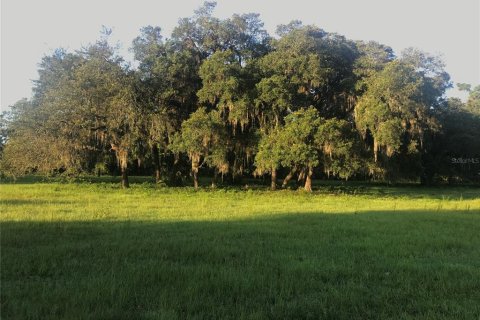 Купить земельный участок в Чулуота, Флорида № 1901485 - фото 6