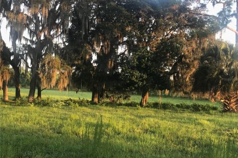 Купить земельный участок в Чулуота, Флорида № 1901485 - фото 5