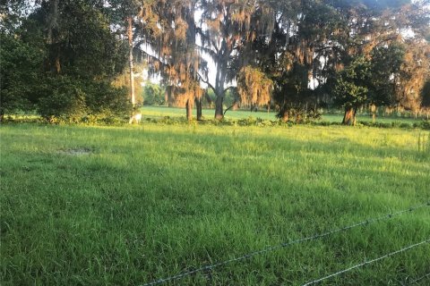 Купить земельный участок в Чулуота, Флорида № 1901485 - фото 3