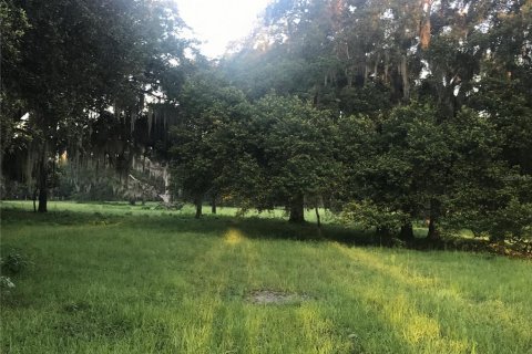 Купить земельный участок в Чулуота, Флорида № 1901485 - фото 4