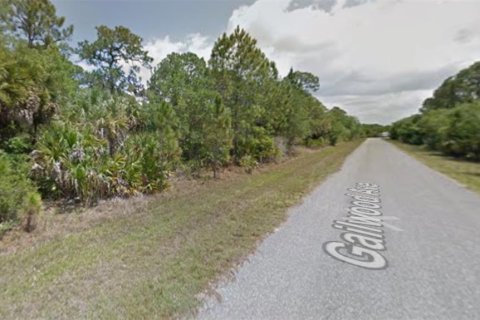 Land in Port Charlotte, Florida № 2166550 - photo 3