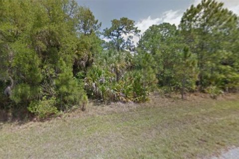 Land in Port Charlotte, Florida № 2166550 - photo 4