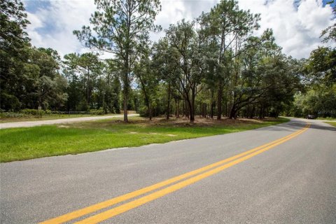 Land in Florahome, Florida № 2363988
