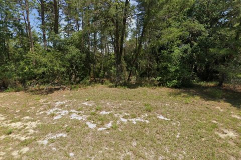 Land in Ocala, Florida № 2378921 - photo 2