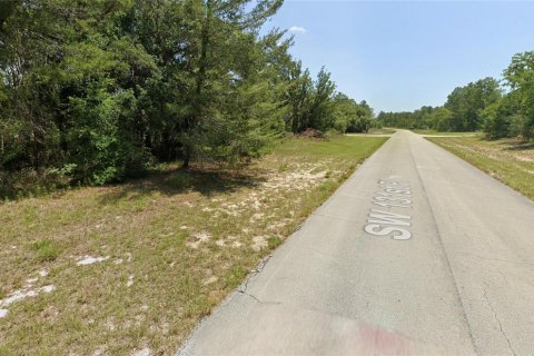 Land in Ocala, Florida № 2378921 - photo 3