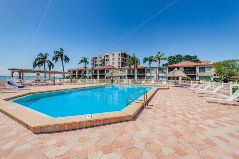 Copropriété à louer à Saint Petersburg, Floride: 1 chambre, 72.46 m2 № 2136075 - photo 10