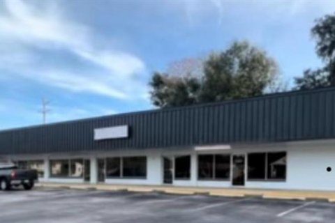 Immobilier commercial à louer à Lake City, Floride: 74.32 m2 № 906563 - photo 1