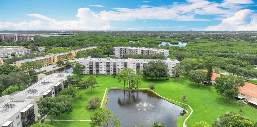 Condo in Saint Petersburg, Florida, 2 bedrooms  № 1538140