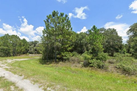 Land in North Port, Florida № 2164625 - photo 2