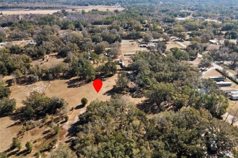 Terreno en venta en Lakeland, Florida № 2106351 - foto 3