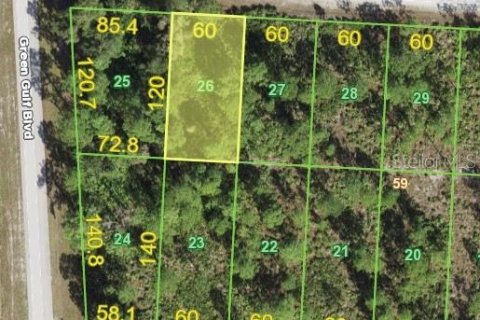 Land in Punta Gorda, Florida № 2160031