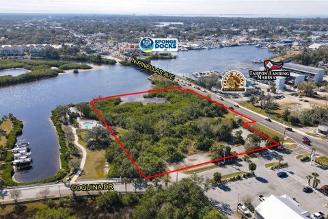 Land in Tarpon Springs, Florida № 1592978 - photo 2