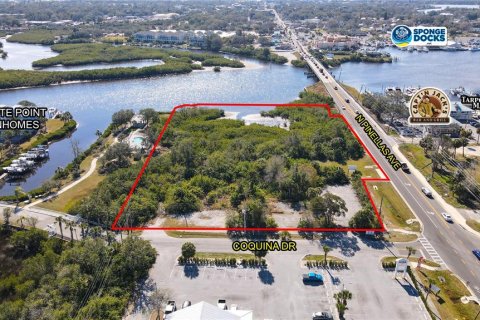 Land in Tarpon Springs, Florida № 1592978 - photo 1