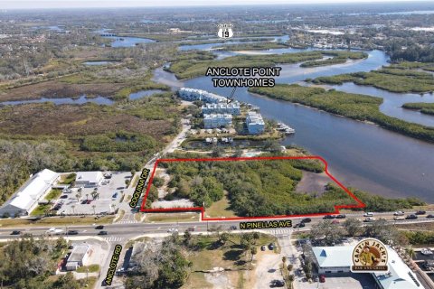 Land in Tarpon Springs, Florida № 1592978 - photo 6