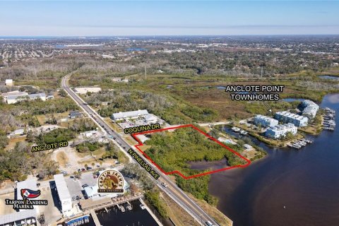 Land in Tarpon Springs, Florida № 1592978 - photo 5