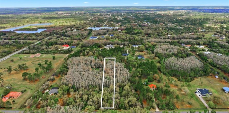 Land in Orlando, Florida № 2097337