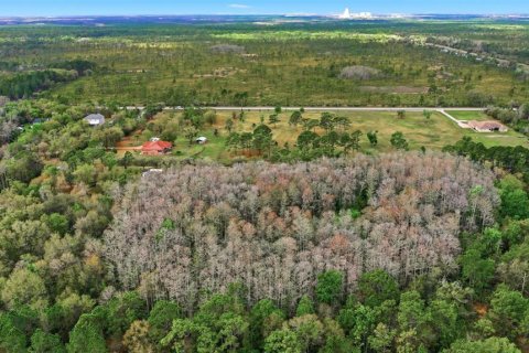 Land in Orlando, Florida № 2097337 - photo 10