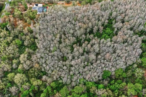 Land in Orlando, Florida № 2097337 - photo 2