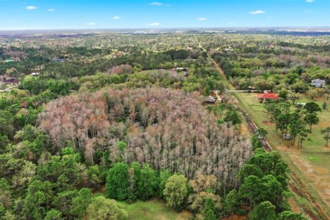 Land in Orlando, Florida № 2097337 - photo 14