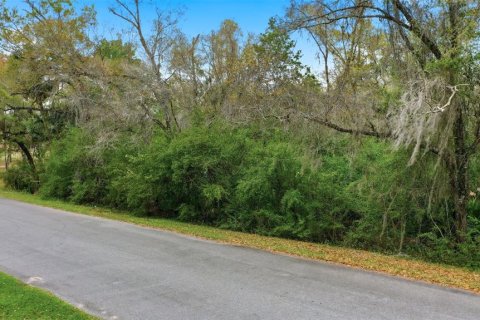 Land in Orlando, Florida № 2097337 - photo 24