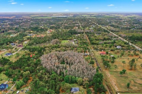 Land in Orlando, Florida № 2097337 - photo 6