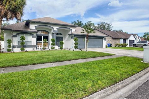 House in Valrico, Florida 4 bedrooms, 248.98 sq.m. № 1883992 - photo 1