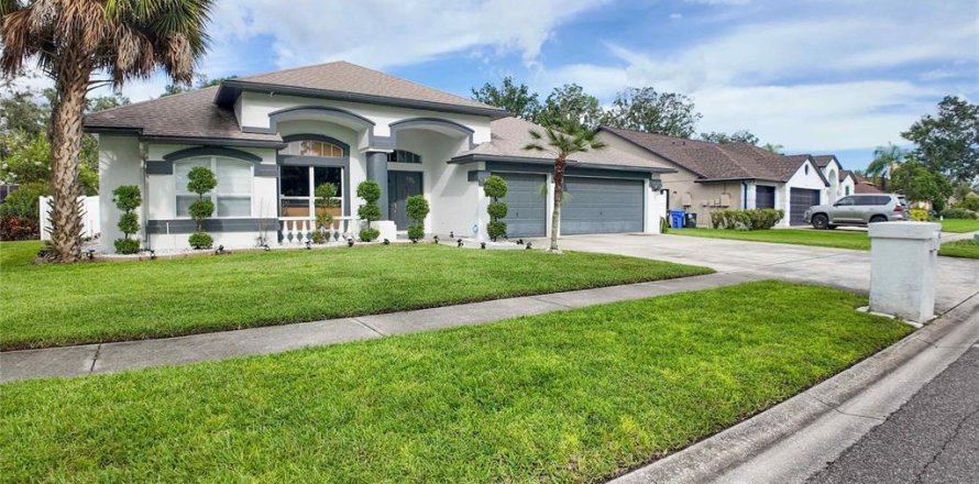 House in Valrico, Florida 4 bedrooms, 248.98 sq.m. № 1883992
