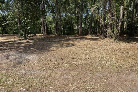 Land in Jacksonville, Florida № 771788 - photo 1