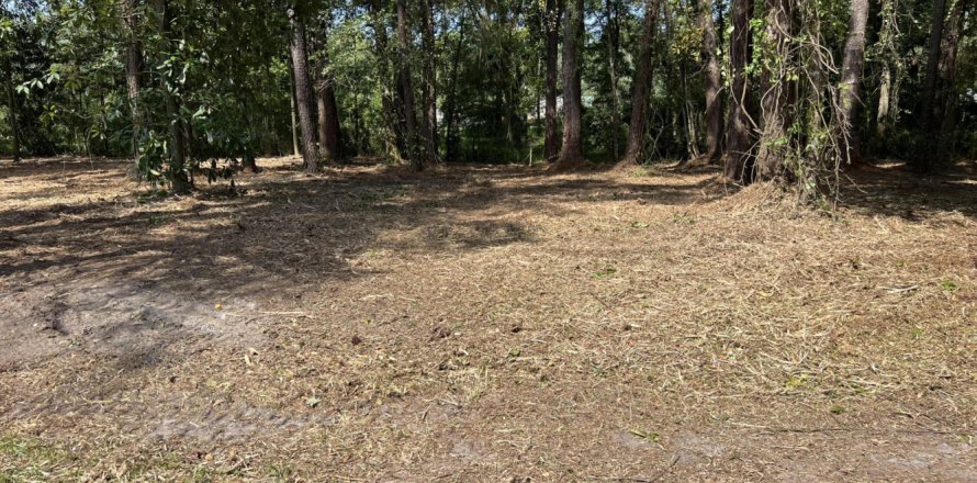 Land in Jacksonville, Florida № 771788