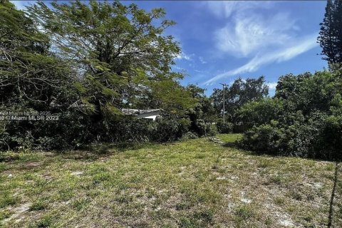 Land in Hollywood, Florida № 1923708 - photo 3