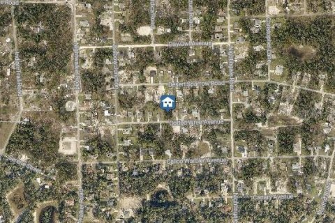 Land in Weeki Wachee, Florida № 1914016 - photo 3