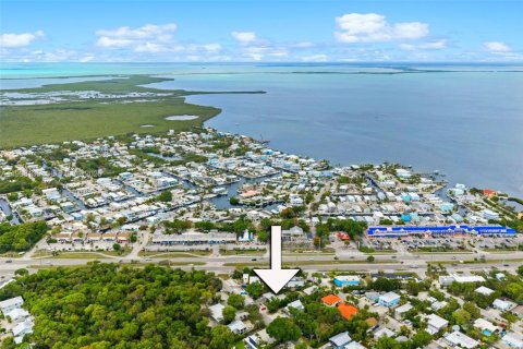 Villa ou maison à louer à Key Largo, Floride: 1 chambre, 60.29 m2 № 2060430 - photo 28
