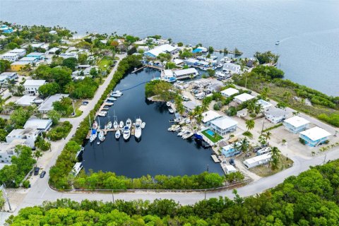 Villa ou maison à louer à Key Largo, Floride: 1 chambre, 60.29 m2 № 2060430 - photo 27