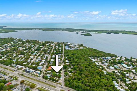 Villa ou maison à louer à Key Largo, Floride: 1 chambre, 60.29 m2 № 2060430 - photo 30