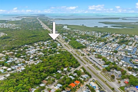 Villa ou maison à louer à Key Largo, Floride: 1 chambre, 60.29 m2 № 2060430 - photo 29
