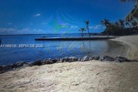 Villa ou maison à louer à Key Largo, Floride: 1 chambre, 60.29 m2 № 2060430 - photo 15