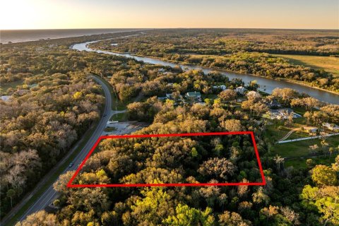 Land in Palm Coast, Florida № 1518672 - photo 3