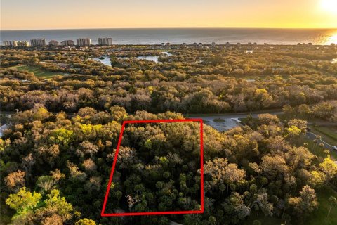 Land in Palm Coast, Florida № 1518672 - photo 2