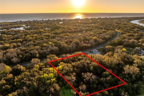 Land in Palm Coast, Florida № 1518672 - photo 5