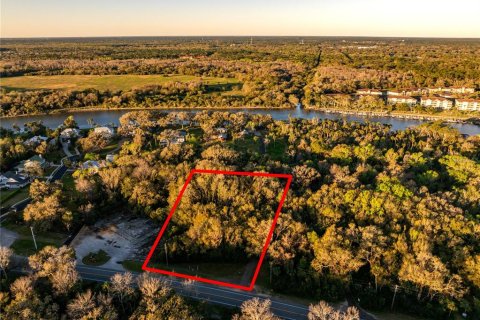 Land in Palm Coast, Florida № 1518672 - photo 6