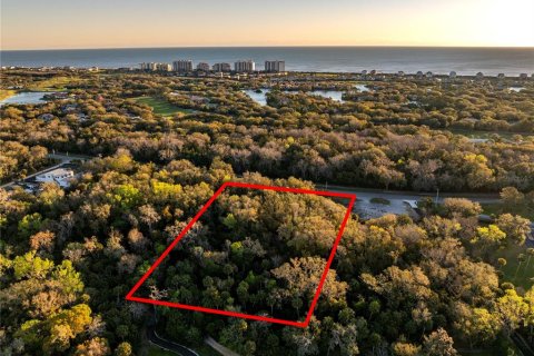 Land in Palm Coast, Florida № 1518672 - photo 7