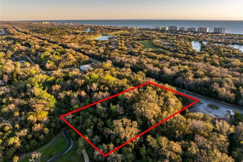 Land in Palm Coast, Florida № 1518672 - photo 1