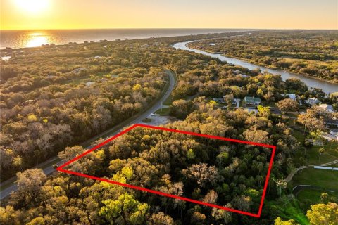 Land in Palm Coast, Florida № 1518672 - photo 4