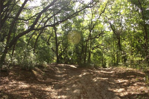 Land in Lady Lake, Florida № 2159397 - photo 3