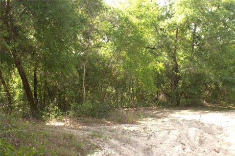 Land in Lady Lake, Florida № 2159397 - photo 6