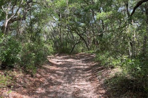 Land in Lady Lake, Florida № 2159397 - photo 7
