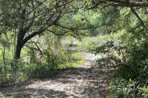 Land in Lady Lake, Florida № 2159397 - photo 5