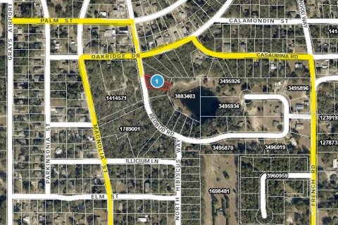 Land in Lady Lake, Florida № 2159397 - photo 10