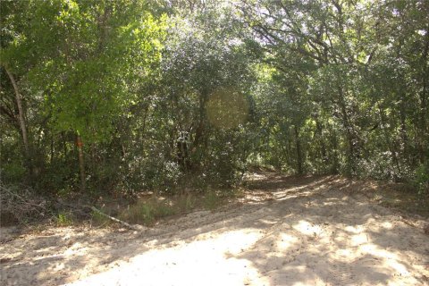 Land in Lady Lake, Florida № 2159397 - photo 2